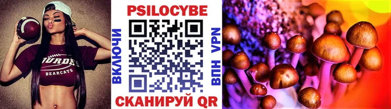 ссылка на мегу зеркало  купить наркотик  Мглин  Псилоцибиновые грибы мицелий 