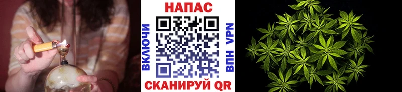 Каннабис план  как найти закладки  Мглин 